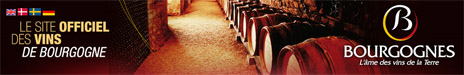 BIVB - site officiel des vins de Bourgogne